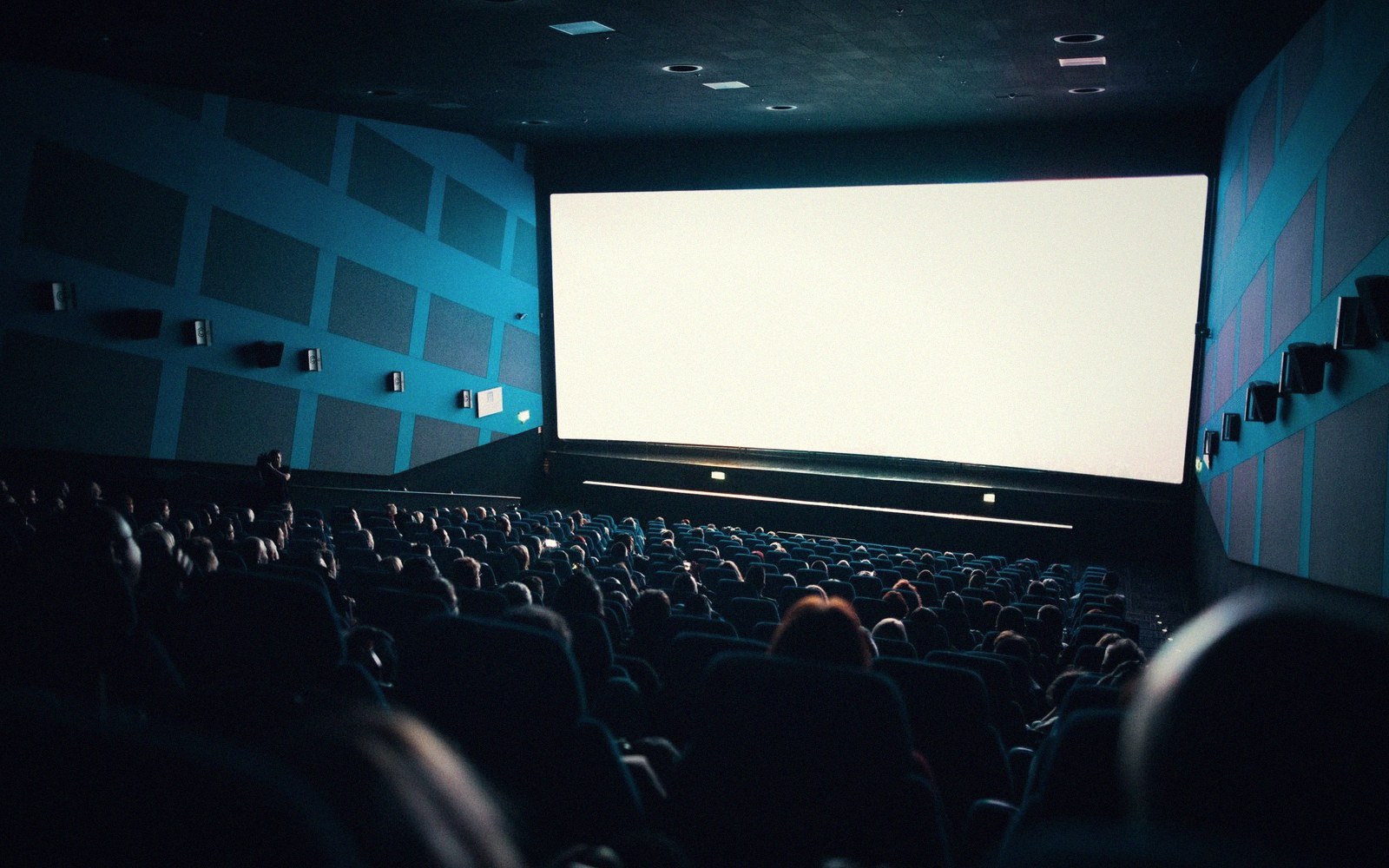 Audience members seated in a dark cinema facing a blank illuminated screen